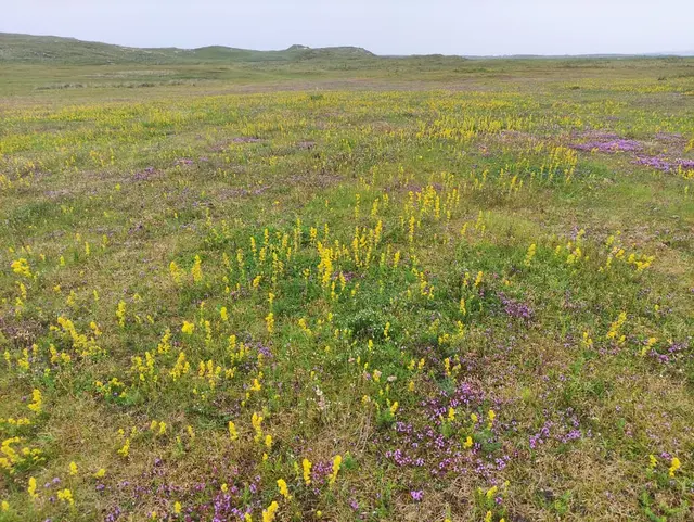 Gweedore Magheragallan Coastal Trail - Machaire Gathlán and Binn bhuí