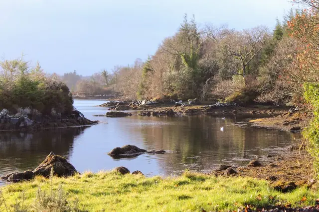 Woodquarter Forest Walks