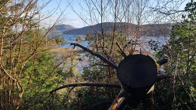 Woodquarter Forest Walks