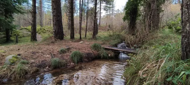 Lurgabrack Nature Reserve, Dunfanaghy