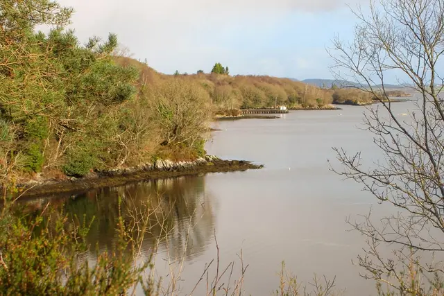 Woodquarter Forest Walks