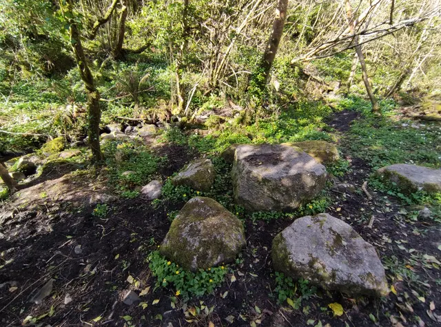 Duntally wood, Creeslough