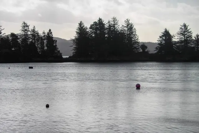 Woodquarter pier, Milford