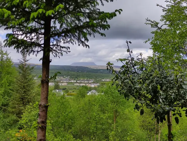 Ballykeeran Forest Trail
