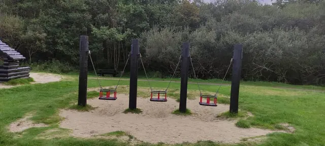 Ards Forest Park Playground