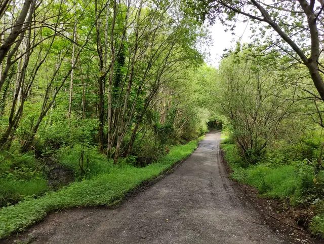 Ballykeeran Forest Trail