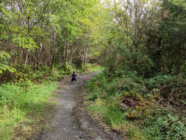 Ballykeeran Forest Trail