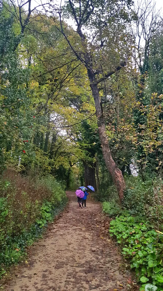 Rathmullan playground