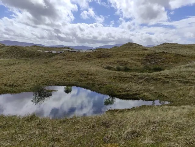 Sheskinmore nature reserve