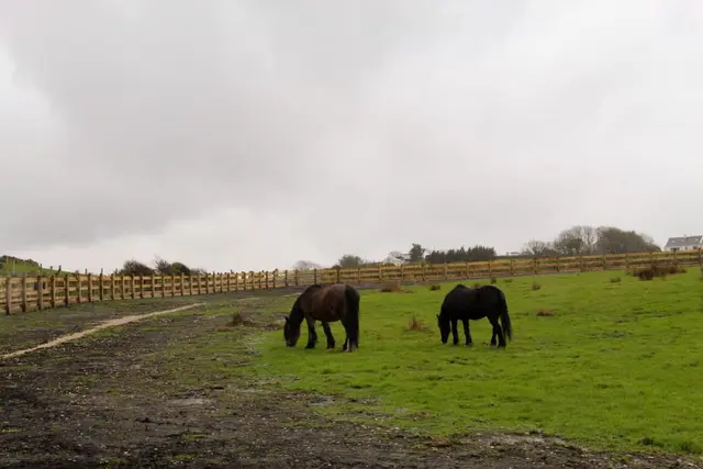 Great Pollet Sea Arch, Fanad