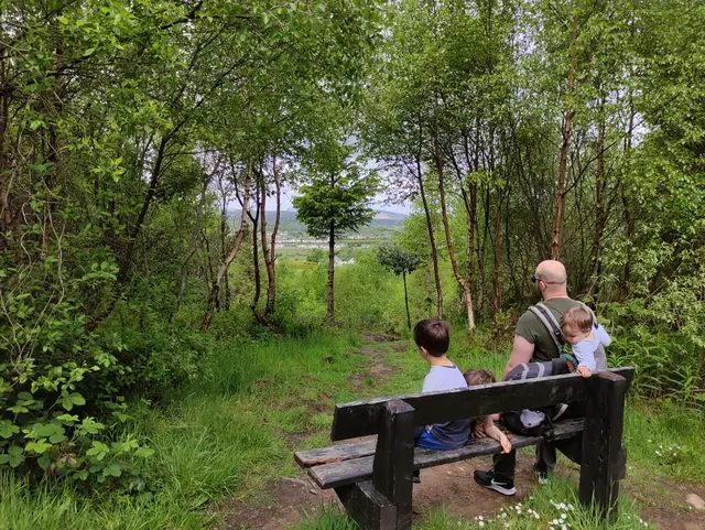 Ballykeeran Forest Trail