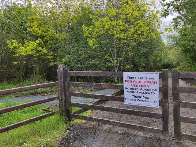 Ballykeeran Forest Trail