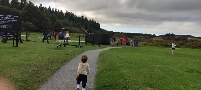 Ards Forest Park Playground