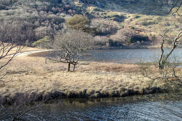 Mullangore Wood, Gleanveagh national park
