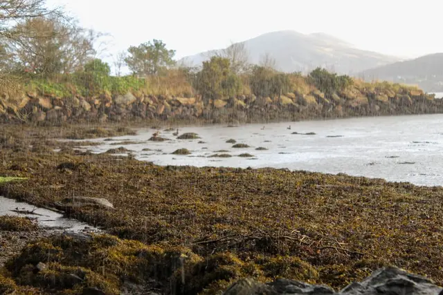 Woodquarter pier, Milford