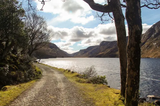 Mullangore Wood, Gleanveagh national park