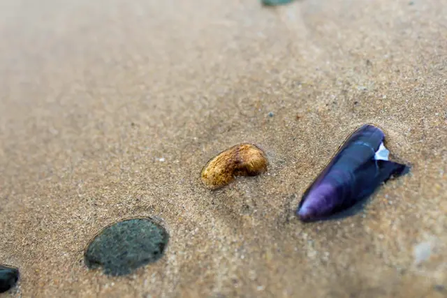 Lisfanon Beach, Inishowen