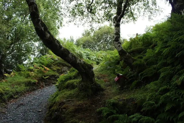 Glenvin waterfall, Inishowen