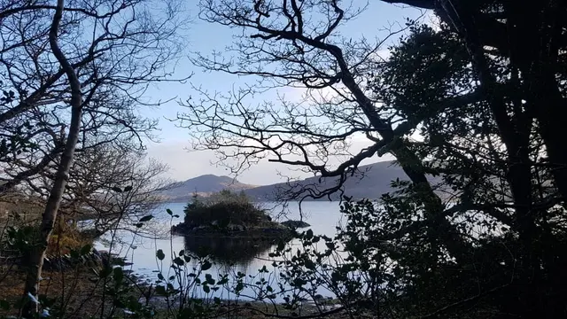 Woodquarter Forest Walks