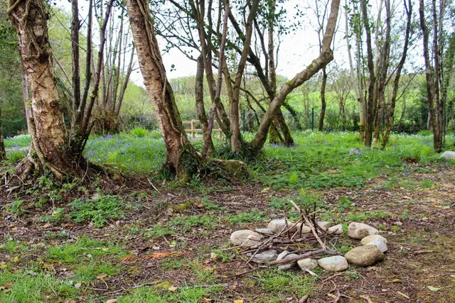 Ray Community Playground