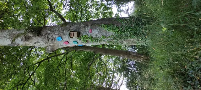 Bank river walk, Donegal town