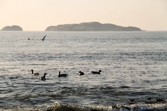 Magheragallan Beach, Gweedore