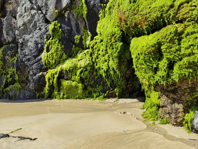 Tramore Beach, Dunfanaghy