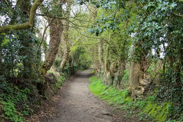 Beltany Stone Circle