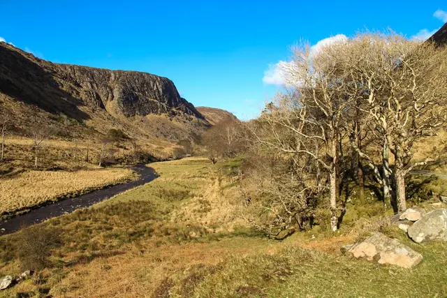 Mullangore Wood, Gleanveagh national park