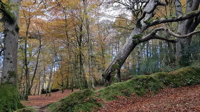 Lennon River Waterfall