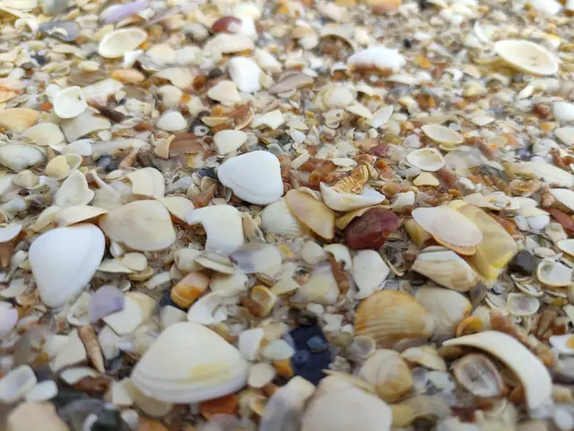 Kinnegar Beach near Rathmullan