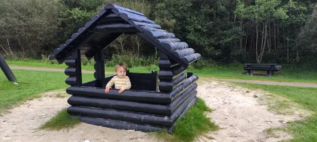 Ards Forest Park Playground