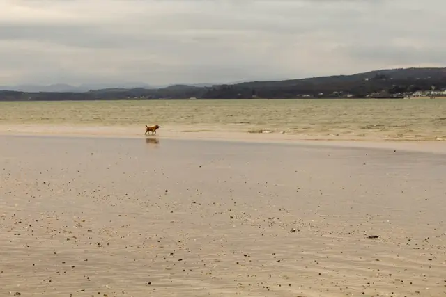 Lisfanon Beach, Inishowen