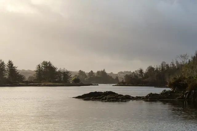 Woodquarter pier, Milford