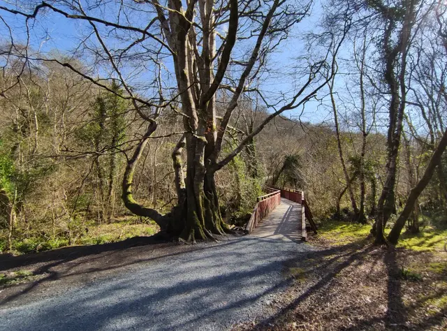 Duntally wood, Creeslough