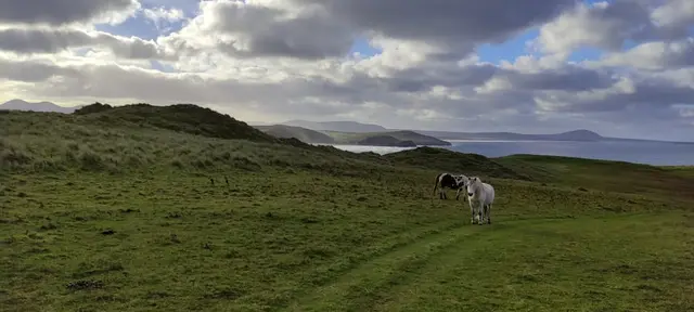 Lurgabrack Nature Reserve, Dunfanaghy