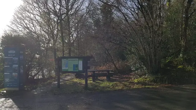 Woodquarter Forest Walks