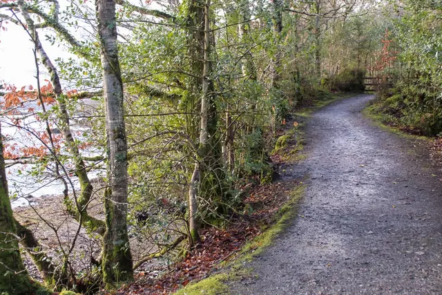 Woodquarter Forest Walks